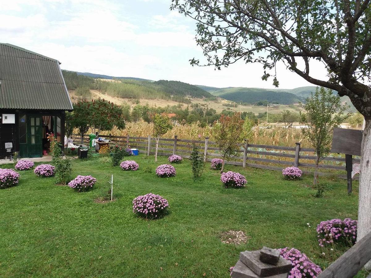Holiday Home Vila Milka Kremna Esterno foto
