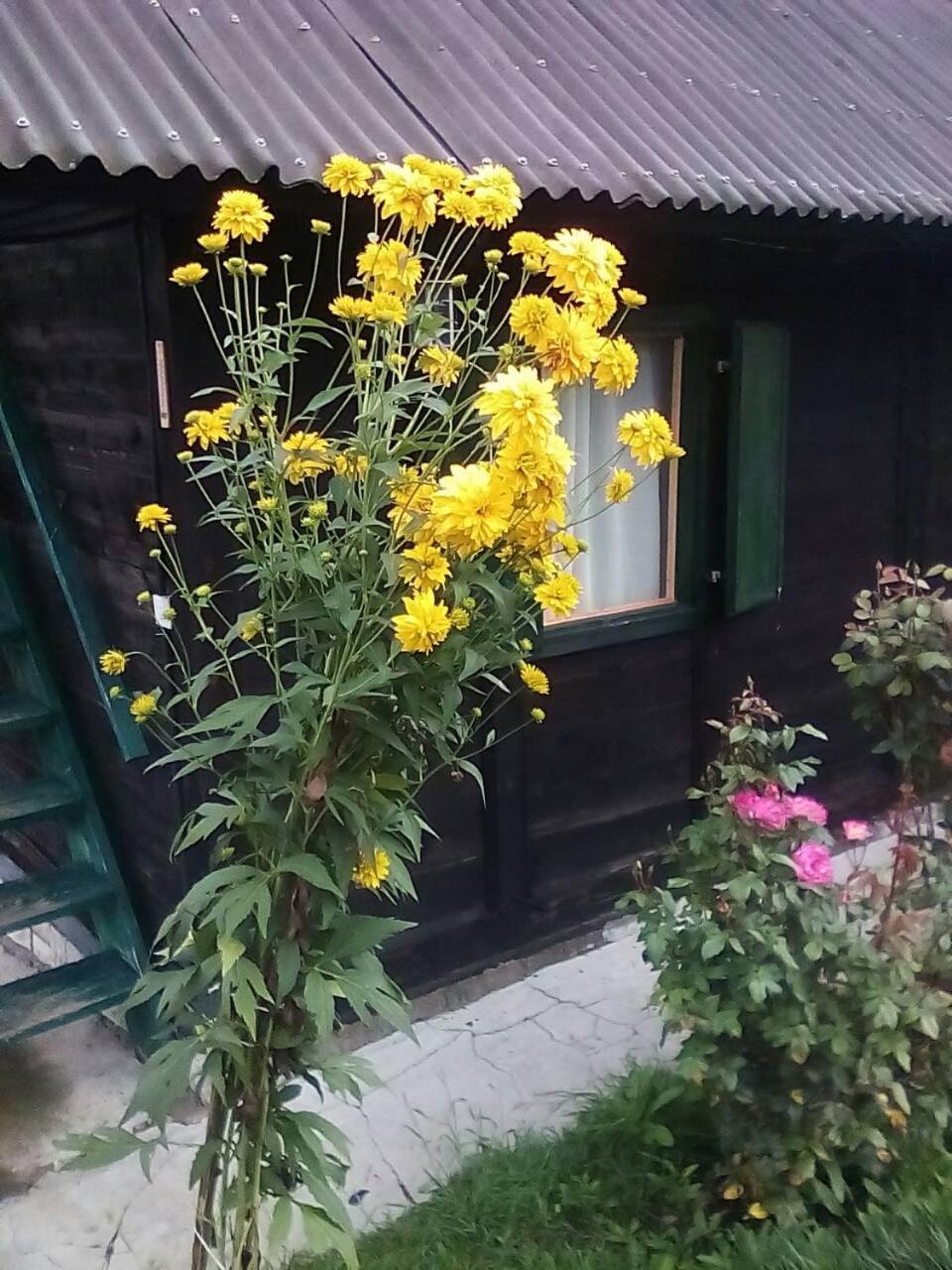 Holiday Home Vila Milka Kremna Esterno foto
